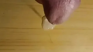 Gay XXX 1